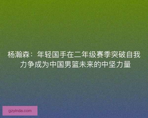 杨瀚森：年轻国手在二年级赛季突破自我 力争成为中国男篮未来的中坚力量