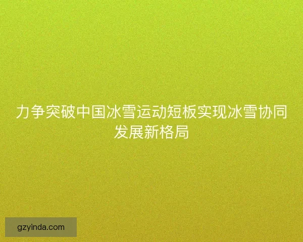 力争突破中国冰雪运动短板实现冰雪协同发展新格局