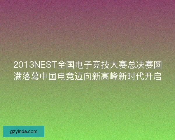 2013NEST全国电子竞技大赛总决赛圆满落幕中国电竞迈向新高峰新时代开启